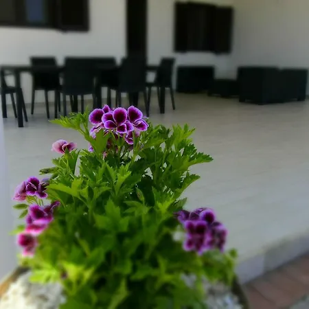 Vila Torre Guaceto Specchiolla